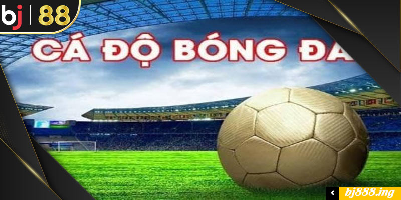 Tìm hiểu đôi điều về cá cược bóng đá